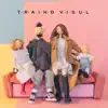 Skizzo Skillz - Traind Visul (feat. Nicole Cherry) - Single